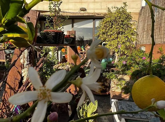 Con Encanto En La Playa Frente Al Mar 