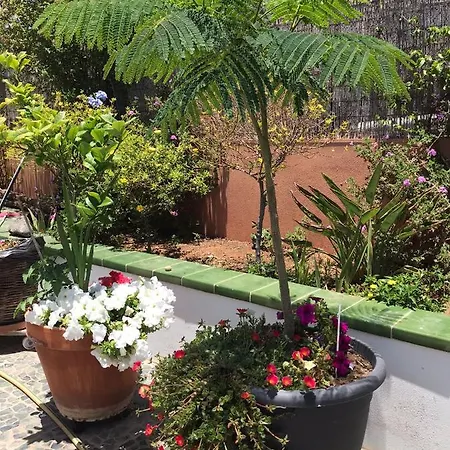 アパート Con Encanto En La Playa Frente Al Mar 