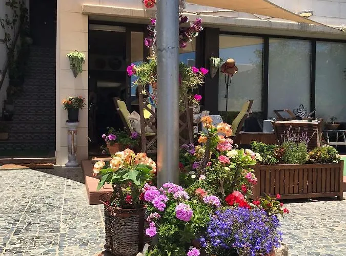 Appartement Con Encanto En La Playa Frente Al Mar 