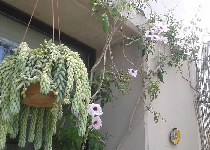 Con Encanto En La Playa Frente Al Mar 