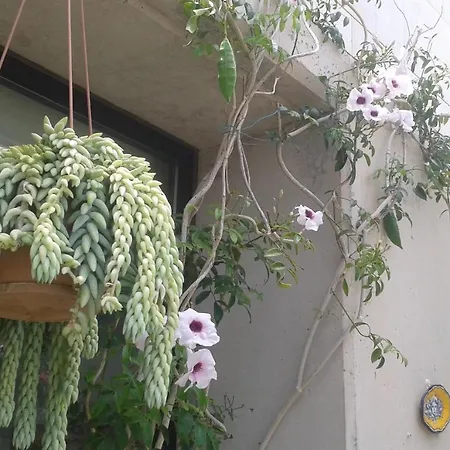 Con Encanto En La Playa Frente Al Mar 