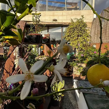 Con Encanto En La Playa Frente Al Mar 